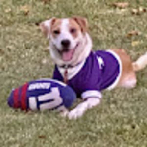 Meet your Posher, Martha